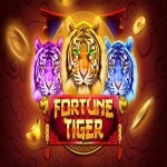 Fortune Tiger